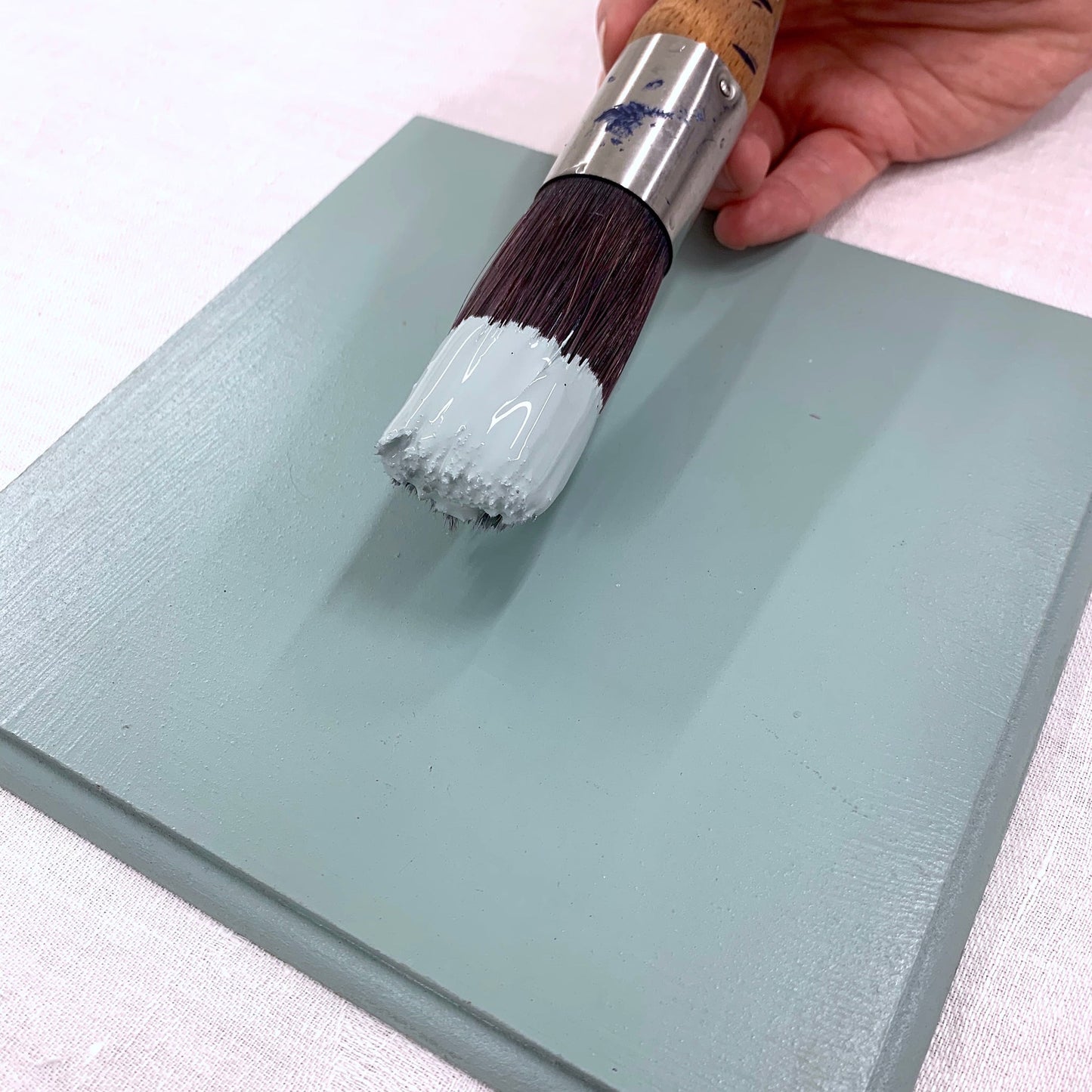 Paint brush and timber swatch painted with Blake & Taylor Duck Chalk Furniture Paint