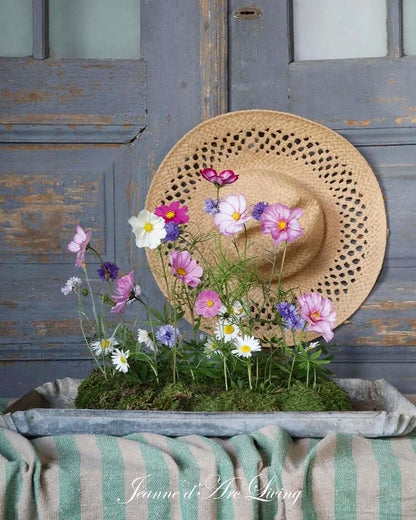 Jeanne d'Arc Living Magazine Issue 5 2026