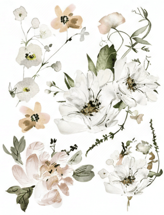 Floral arrangement with white and beige flowers on a white background