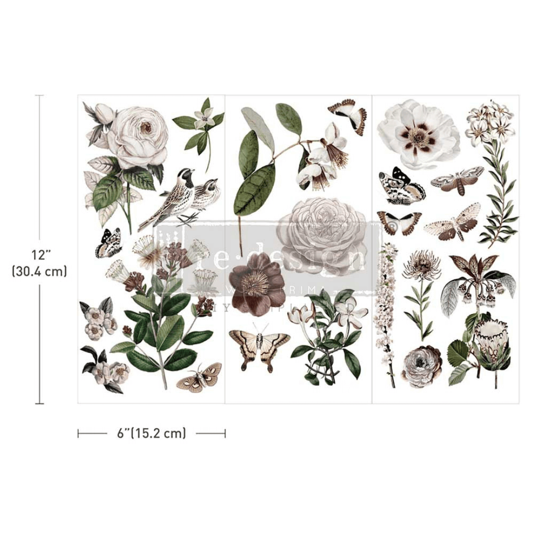 Set of botanical illustrations with flowers, leaves, and insects on a white background.